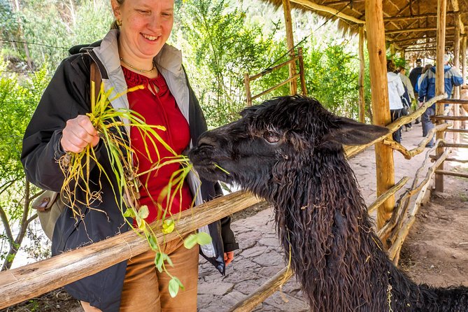Sacred Valley and Machu Picchu Tour in 2 days with Peru Vip - What the $491.29 price really covers