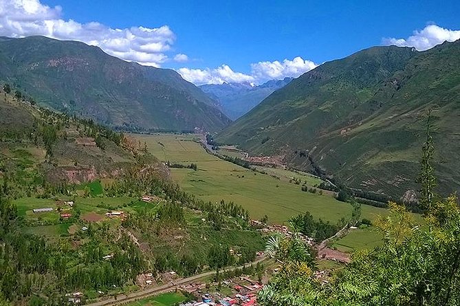 Sacred Valley - Pisac and Ollantaytambo day tour - The alpacas, llamas, and vicuñas at Manos de la Comunidad
