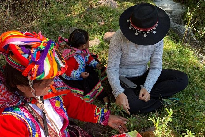 Sacred Valley Textile Workshop – Dyeing & Weaving in Cusco - Gathering plants for the dye bath