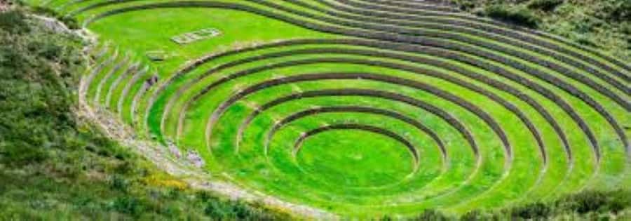 Sacred Valley Vip Cusco - Key points to know before booking