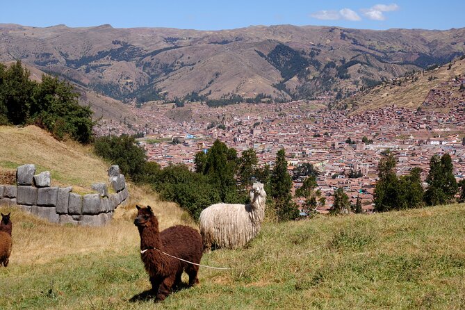 Sacsayhuaman Temple, Tambomachay and Puca Pucara Half-Day Tour - What the small group and minivan add
