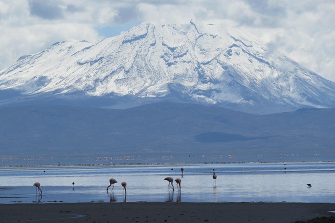 Salinas National Reserve PRIVATE TOUR - Who should book this Salinas tour