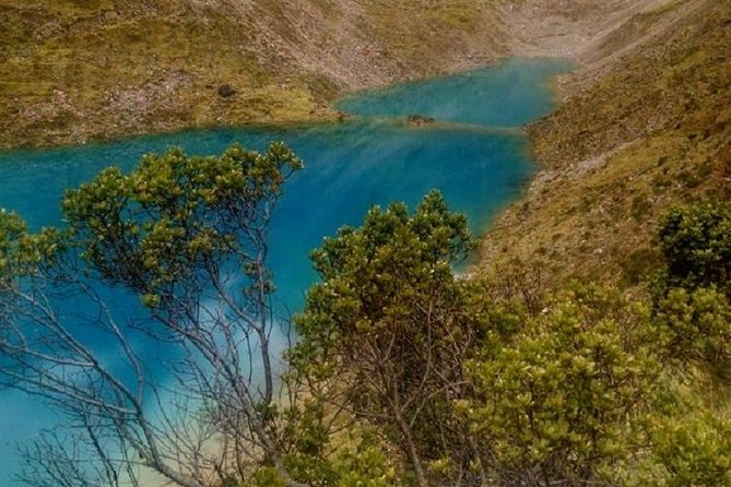 Salkantay Trek: 5 Days to Machu Picchu - Day 3: Orchids, coffee, and Cocalmayo hot springs