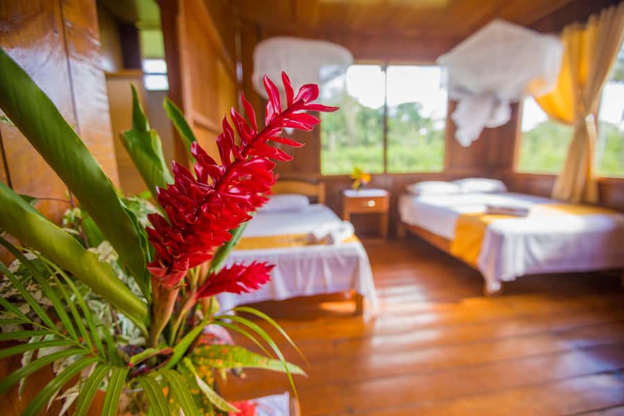 Sandoval lake 2 Days / 1 Night - A night at MonteAmazonico Lodge