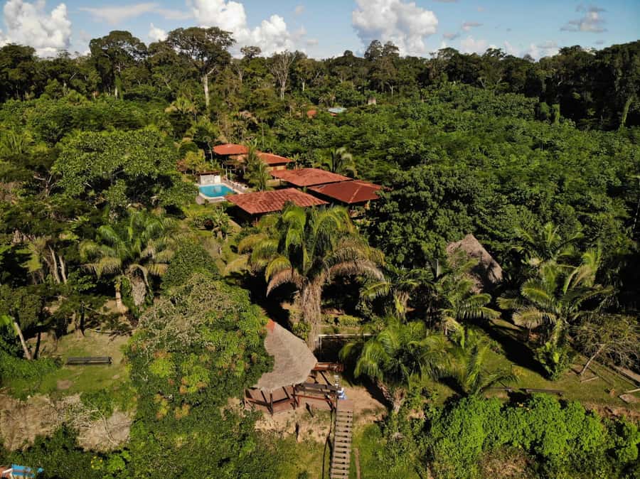 Sandoval lake 3 Days / 2 Nights - Puerto Maldonado makes the logistics simple