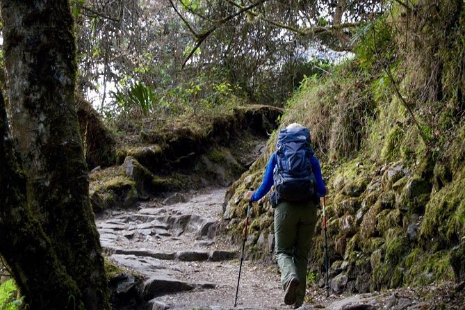 Short Inca Trail 2 Day Hike to Machu Picchu with Permits & Train - Why This Short Inca Trail Makes Sense