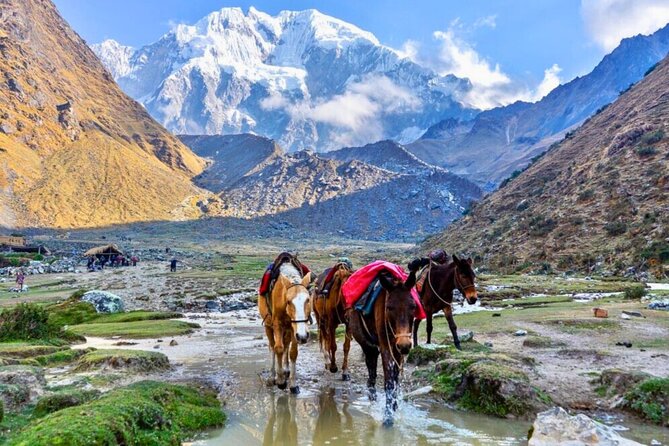 Small Group 5 Days Salkantay and Machu Picchu by Llactapata Tour - Day 5: Early entry to Machu Picchu and the train home
