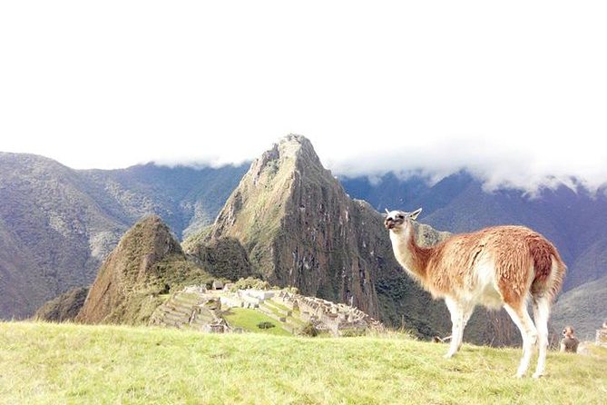 Small-Group Day Tour to Machu Picchu - Why This Machu Picchu Day Trip Works