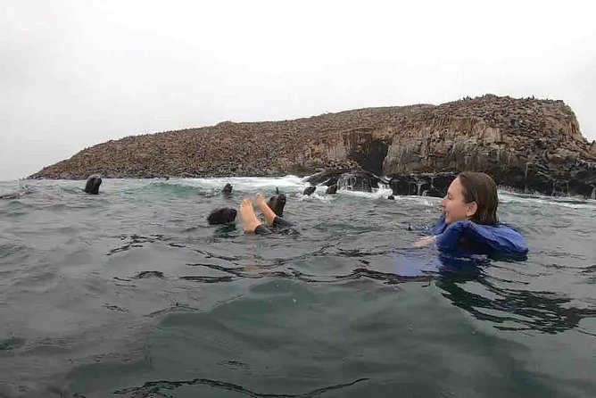 Swimming with Sea Lions in Lima - Leaving Lima for Callao Bay