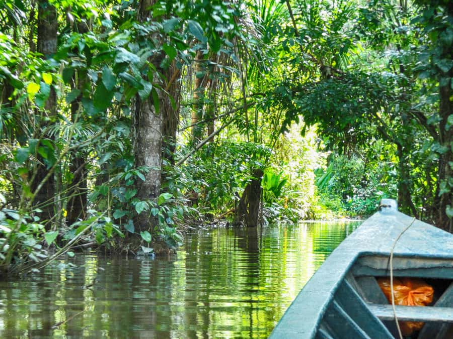 Tambopata: Lake Sandoval Canoeing with Lunch - Key points before you book