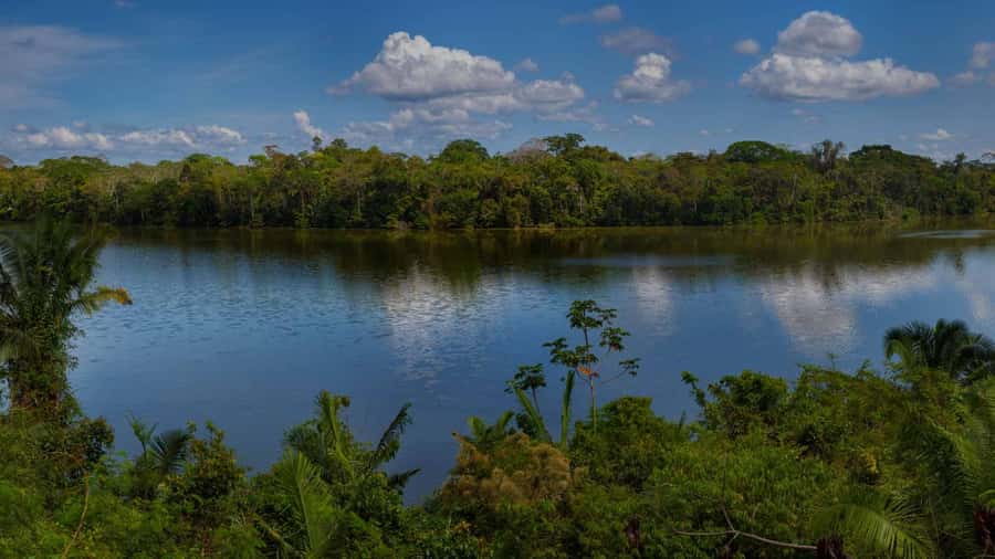 Tambopata: Lake Sandoval Canoeing with Lunch - Wildlife watching from the canoe