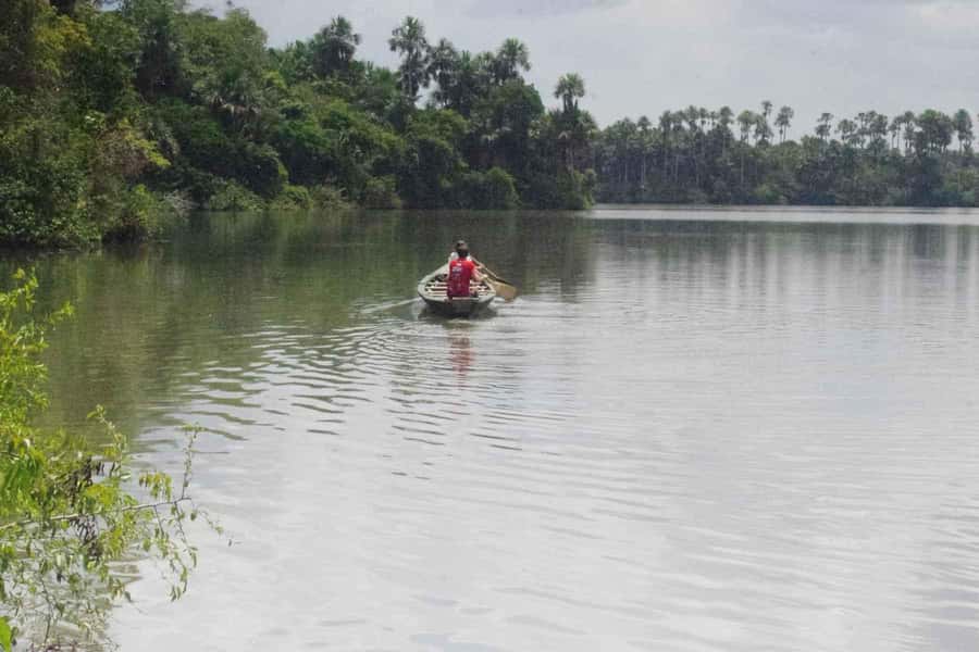 Tambopata: Lake Sandoval Canoeing with Lunch - Lunch beside Lake Sandoval