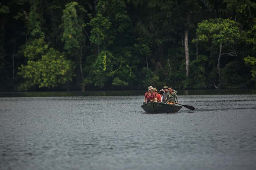 Tambopata Macaw Clay Lick 3 days/2 nights - Day three: the long route back to Puerto Maldonado