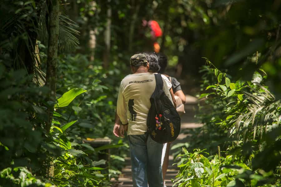 Tambopata Macaw Clay Lick 5 days/4 nights - Day 2: The 4:30 a.m. journey to El Chuncho