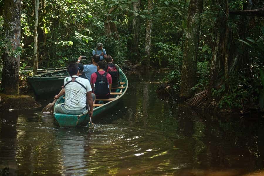 Tambopata National Reserve Tour 3 Days - Parrots, local life, and fishing on day three
