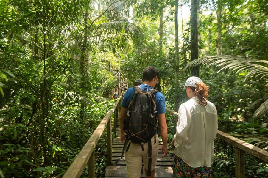 Tambopata National Reserve Tour 3 Days - The lodge question: comfort versus activity