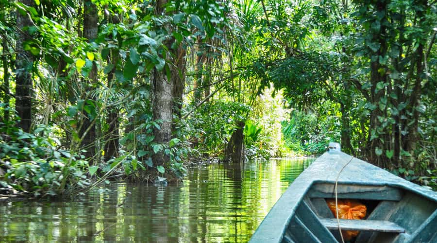 Tambopata Peruvian Amazon Jungle for Three Days/Two Nights - Hiking 3 kilometers to Lake Sandoval
