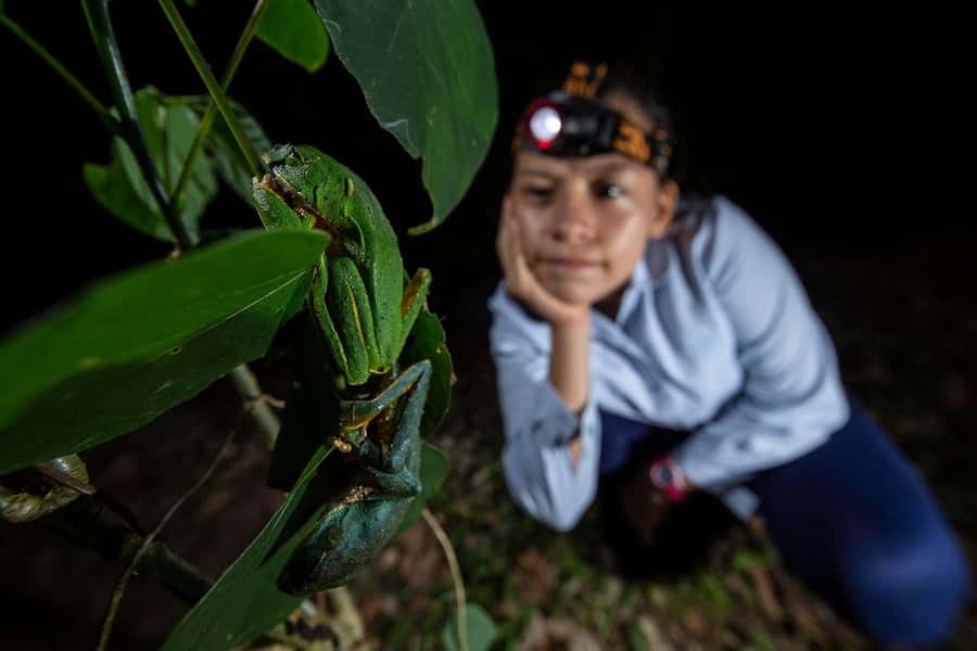 Tambopata Rainforest Night Walk & River Exploration - The 4:00 PM boat ride starts in the softer light