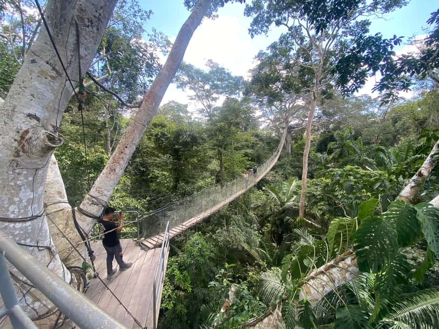 Tambopata: Zipline Adventure & Kayak to Monkey Island - Practical tips for a better day