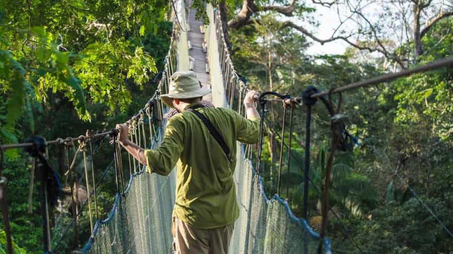 Tambopata: Zipline Adventure & Kayak to Monkey Island - Two zipline runs, with braking in your hands