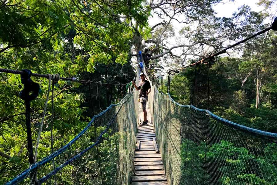Tambopata: Zipline Adventure & Kayak to Monkey Island - Meeting capuchins on Monkey Island