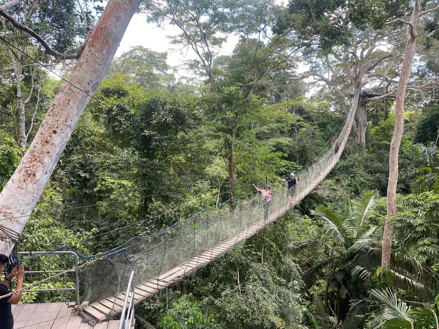 Tambopata: Zipline Adventure & Kayak to Monkey Island - Who should book this Puerto Maldonado trip?