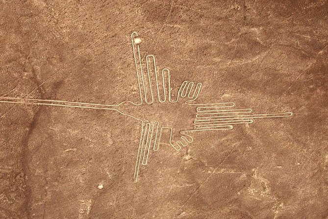 The Nazca Lines & Huacachina Oasis from Lima - Private Trip - Huacachina Oasis and the dunes