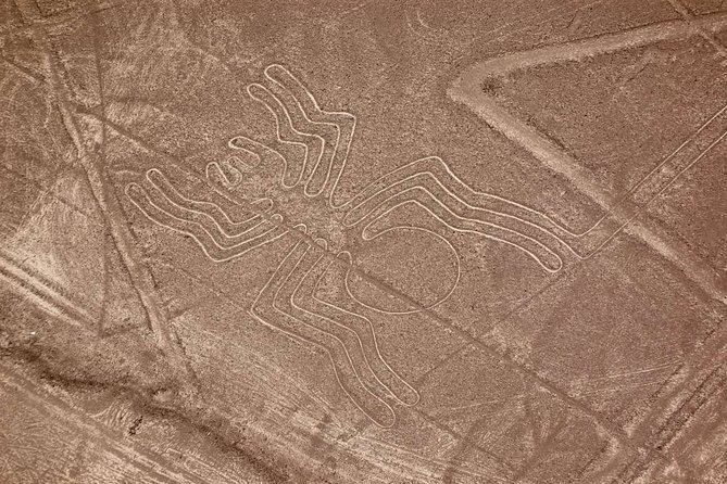 The Nazca Lines & Huacachina Oasis from Lima - Private Trip - Guides, drivers, and how much they matter