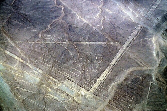 The Nazca Lines & Huacachina Oasis from Lima - Private Trip - Food, breaks, and what to pack