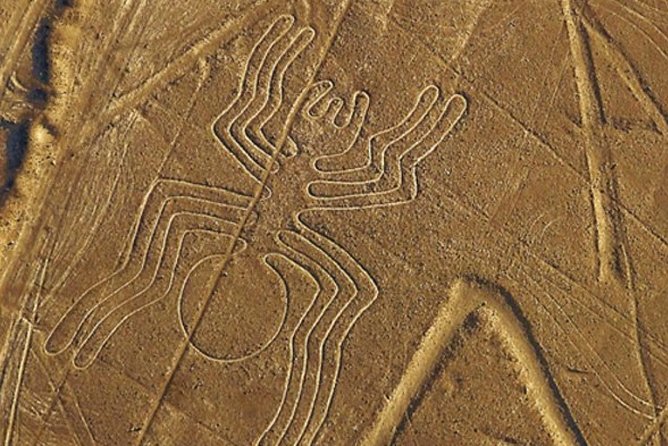 The Nazca Lines & Huacachina Oasis from Lima - Private Trip - Who should book this experience?