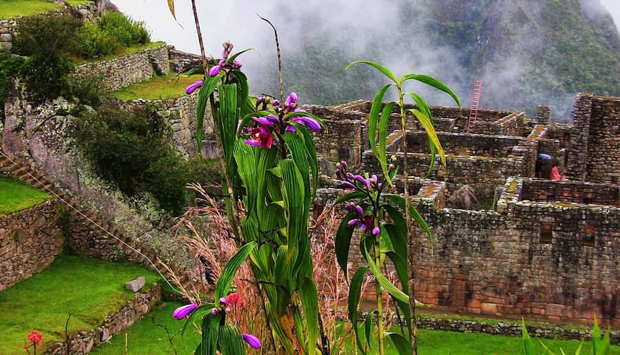 Tour Machu Picchu + Mountain of Huayna Picchu 2 days - Key points at a glance
