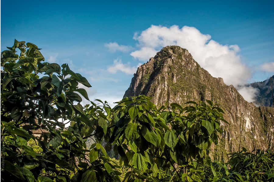 Tour Machu Picchu + Mountain of Huayna Picchu 2 days - Returning to Cusco after the mountain