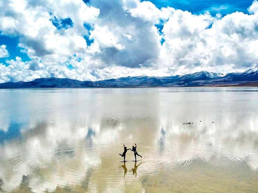 Tour to the Salinas Lagoon and National Reserve in Arequipa - Why Salinas Lagoon makes a good Arequipa day trip
