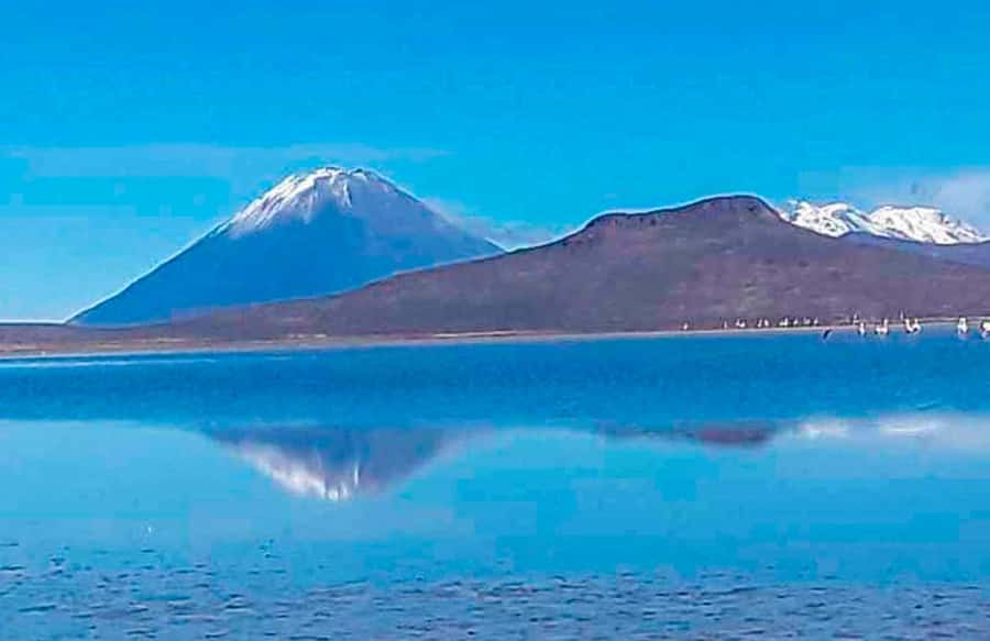 Tour to the Salinas Lagoon and National Reserve in Arequipa - Chiguata breakfast and the first volcano viewpoint