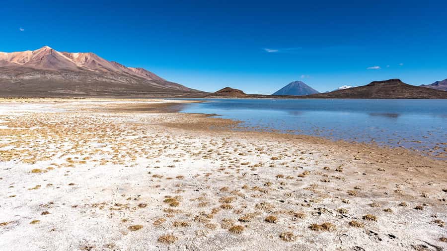 Tour to the Salinas Lagoon and National Reserve in Arequipa - Saltpeter flats behind PichuPichu