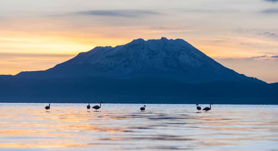 Tour to the Salinas Lagoon and National Reserve in Arequipa - Salinas Lagoon and the famous reflection effect