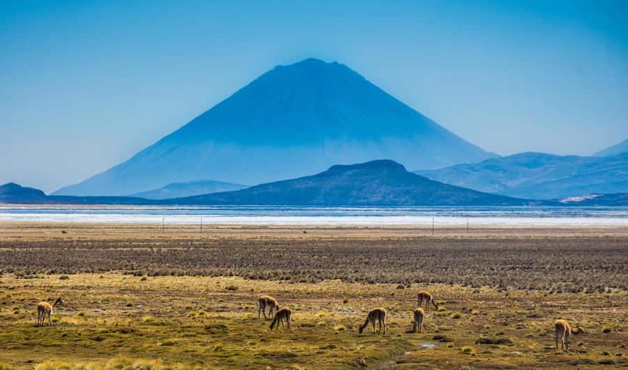 Tour to the Salinas Lagoon and National Reserve in Arequipa - What the $27 price really covers