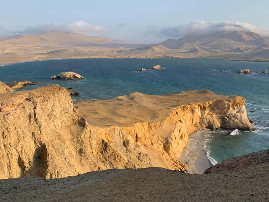 TREKKING GOLDEN SHADOWS - Flora, fauna, and the value of a live guide