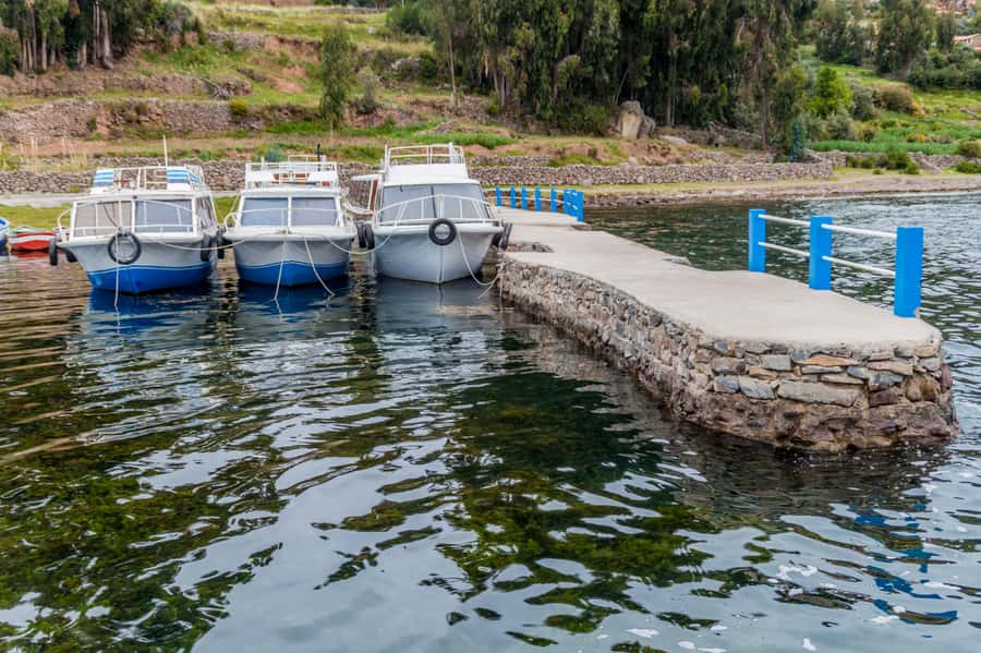 Two Day Lake Titicaca Tour With Homestay - The guide can make or break the experience
