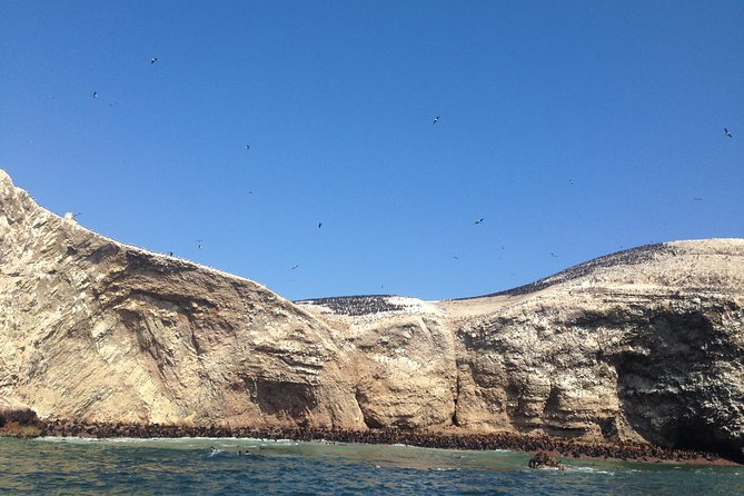 Ultimate Comfort: Lima to Huacachina, Ballestas and Vineyard - Who should book this experience?