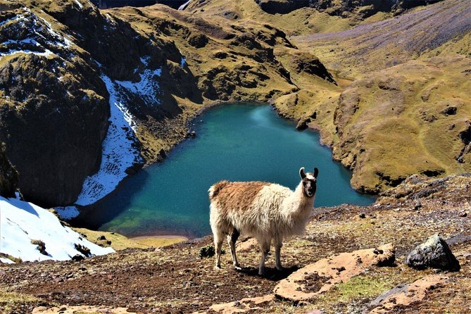 Ultimate Lares Trek & Inca Trail 5 days - What the $980 price gives you
