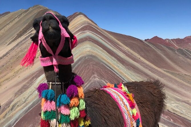 Vinicunca Rainbow Mountain Full-Day Tour from Cusco - Why Vinicunca is worth the long day