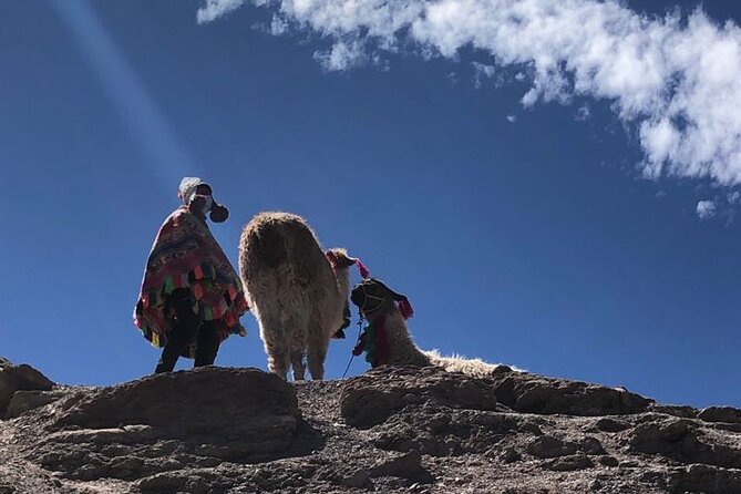 Vinicunca Rainbow Mountain Full-Day Tour from Cusco - What the $99 price includes