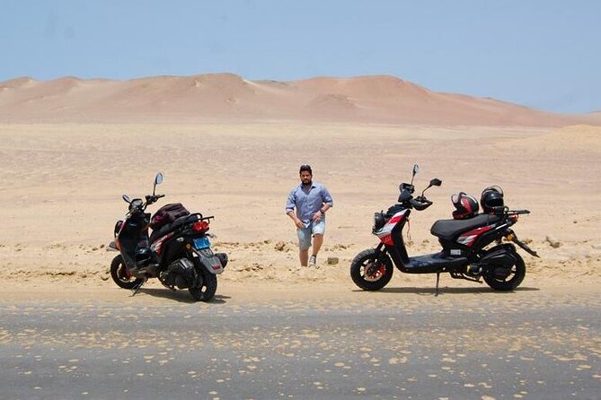 Visit the Paracas National Reserve on a SCOOTER - Key points to know before renting