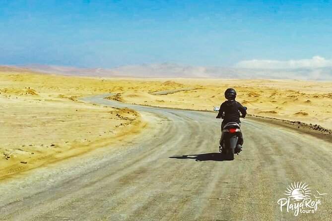 Visit the Paracas National Reserve on a SCOOTER - The small details that make the rental work