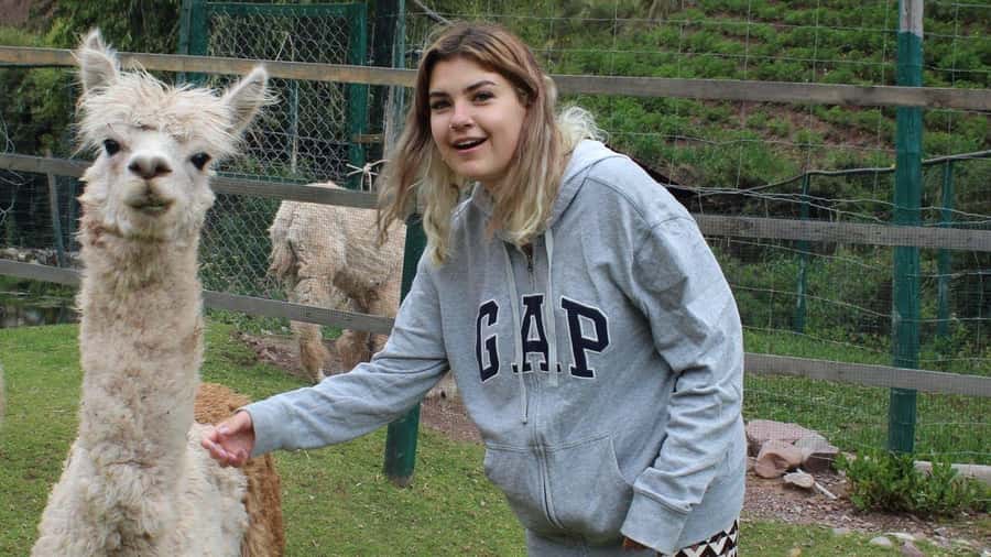 Visit to the Cochahuasi Animal Sanctuary with rescued animal - Language, timing, and cancellation details