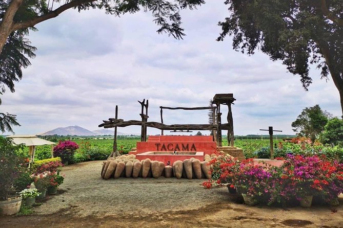 Winery and Pisco Distillery tour - El Arrabal and the pace of the Pisco Route
