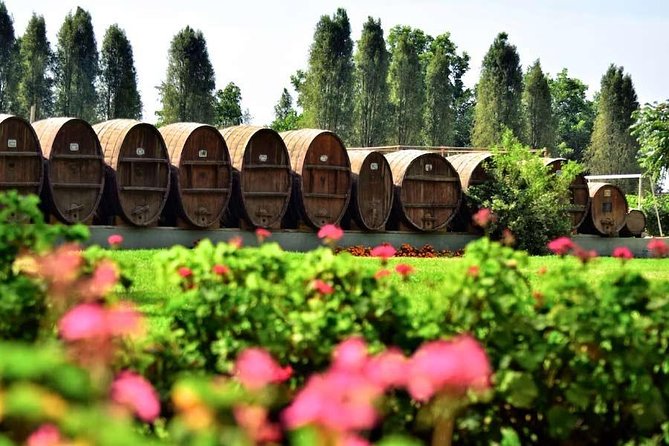 Winery and Pisco Distillery tour - Bodega Nietto and four generations of family work