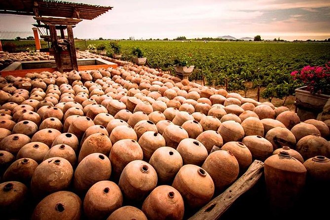 Winery and Pisco Distillery tour - The tasting experience: compare, do not rush