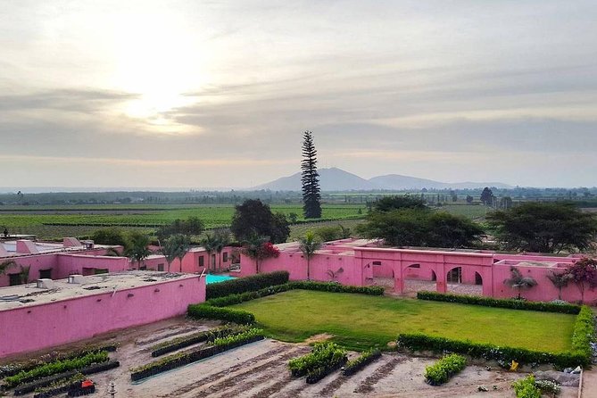 Winery and Pisco Distillery tour - Hacienda Tacama: the polished historic opening